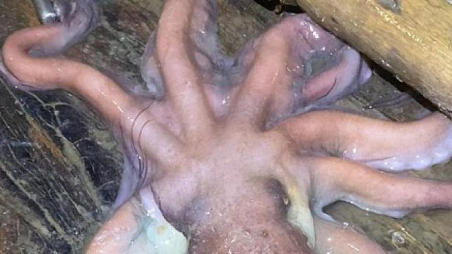 1200元包5网鱼，这次有意外收获