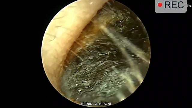 #分享第一部看的影视剧