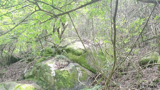 进山，进没有信号的山