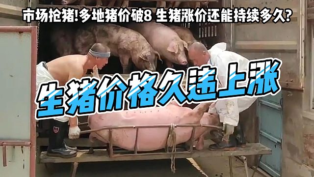 市场出现抢猪！生猪猪价大范围上涨！广东、福建等多地猪价破8，猪价还能持续多久？#猪价行情#三农