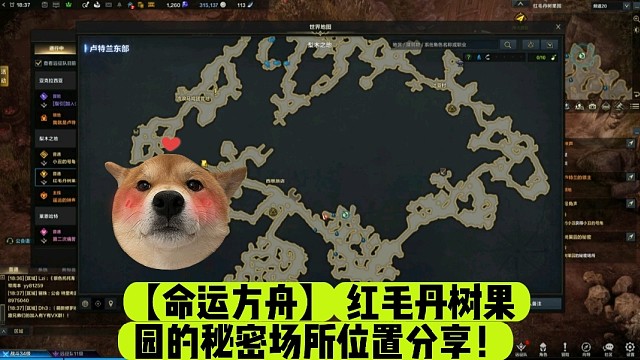 【命运方舟】红毛丹树果园的秘密场所位置分享！