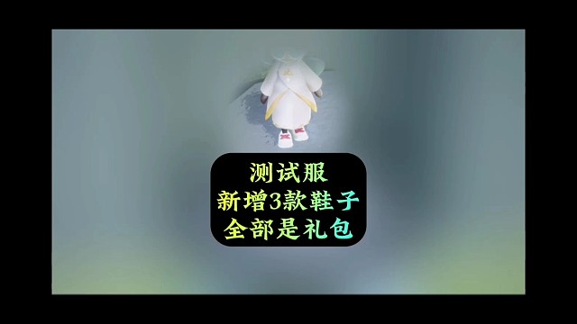衣柜分家后，新增三款鞋子礼包，小陈有点过分