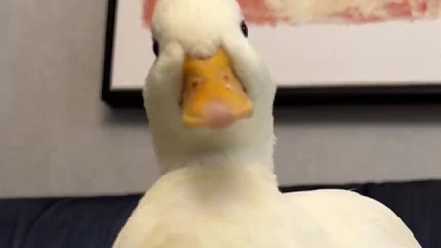 不说了，颠勺去了