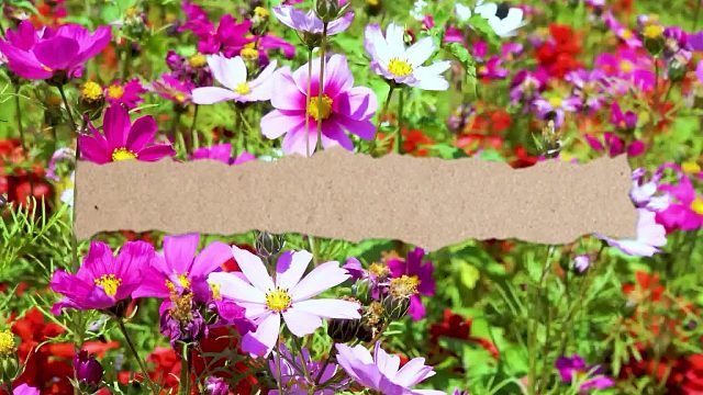 确诊白内障（3）