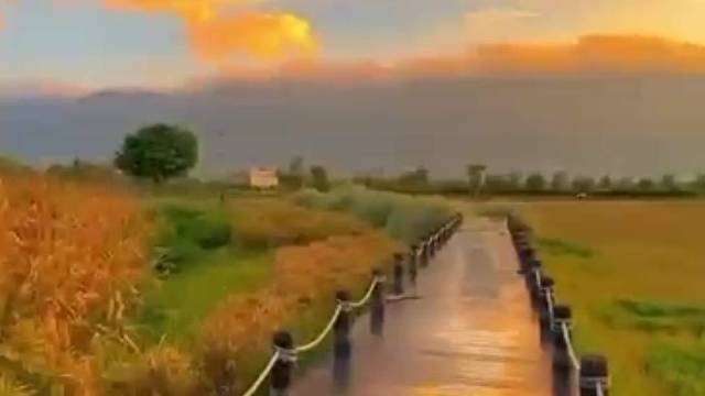 倪雅各欣赏的夕阳