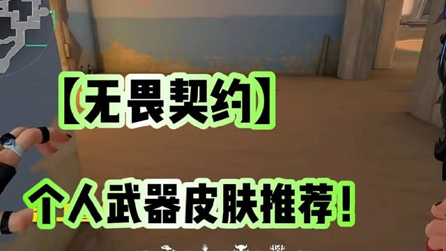 【无畏契约】个人武器皮肤推荐！