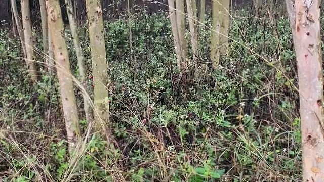 要想守住钓位，三十六计必须安排上