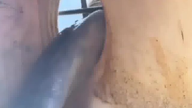 长颈鹿的舌头正在寻找食物