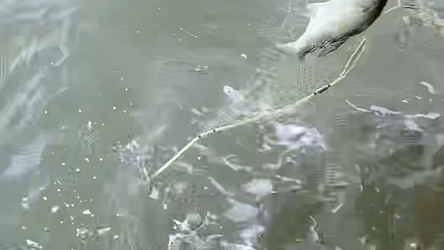 我发布了一个新视频，快来围观吧！