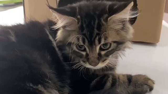 我发布了一个新视频，快来围观吧！