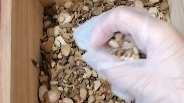 手抖？早发现早治疗早恢复