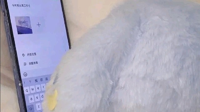 今天也有认真工作