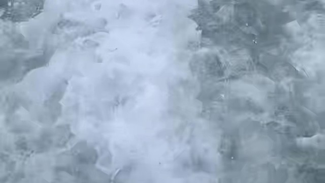 包船捕马友鱼结局很意外