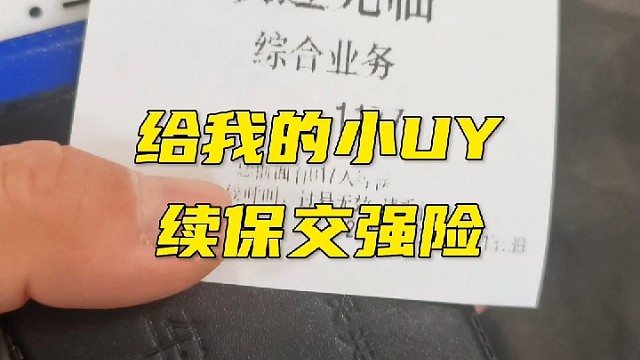 给我的小UY续保交强险