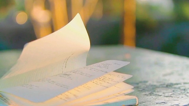 人生就是这样，不是得到，就是学到……