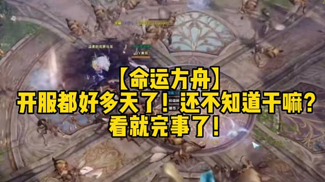 【命运方舟】
开服都好多天了！还不知道干嘛？
看就完事了！