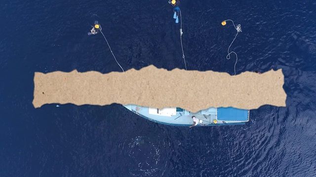 远离脑梗死（1）