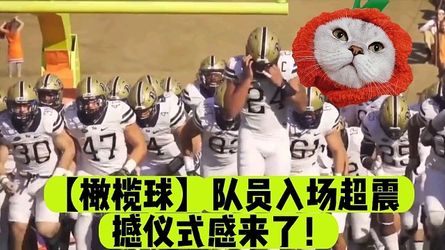 【橄榄球】队员入场超震撼仪式感来了！