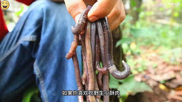 印尼野生小酥肉，吃完住院不发愁，医院到处都是好朋友