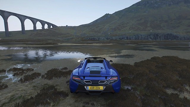 新人主播请大家多多支持！