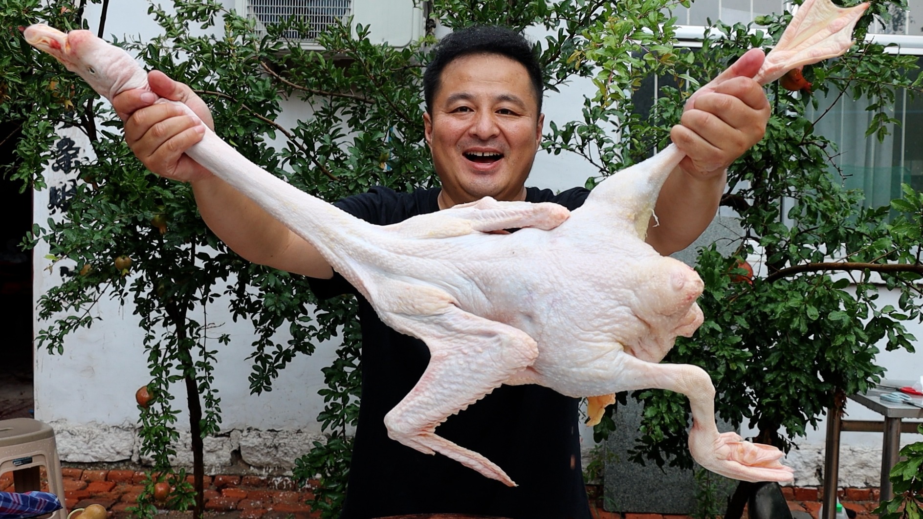 1380元买了60个大猪蹄，一半熏一半卤，满满烟熏味道，真香呀