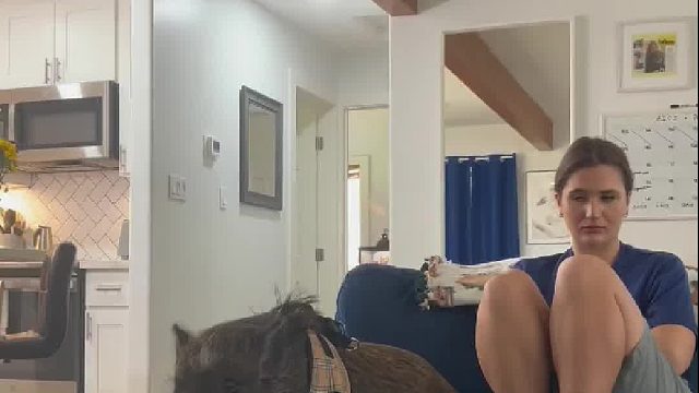 夏天就该懒在沙发上吹空调，我不要出去