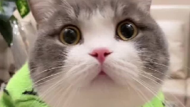 快发给你喜欢的人看