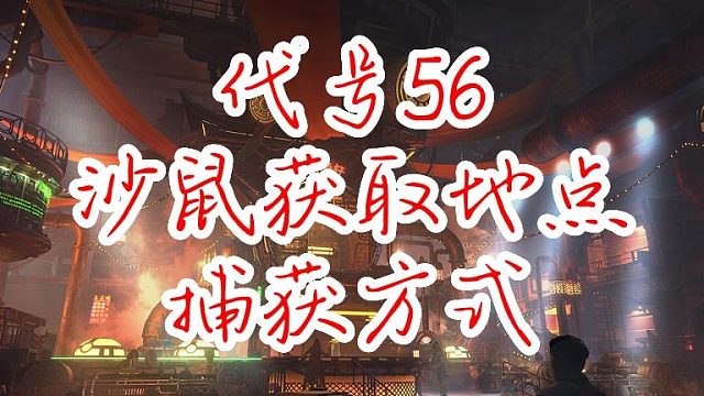 代号56-沙鼠获取地点及捕获方式