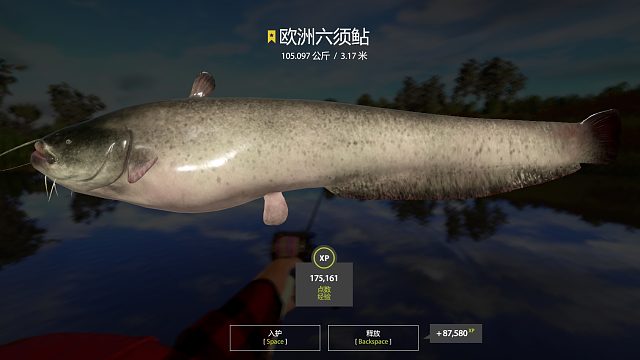 周日前我会出手--拿下小星猪。