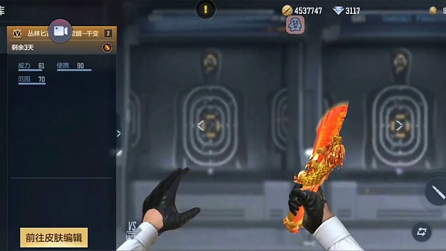 这才是庆龙燃尽之巅