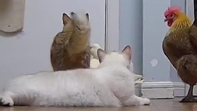 钢铁一样的胜男也有温柔的一面