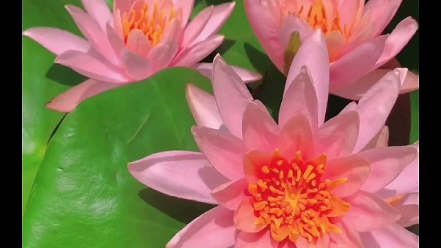 很多人说修心很苦