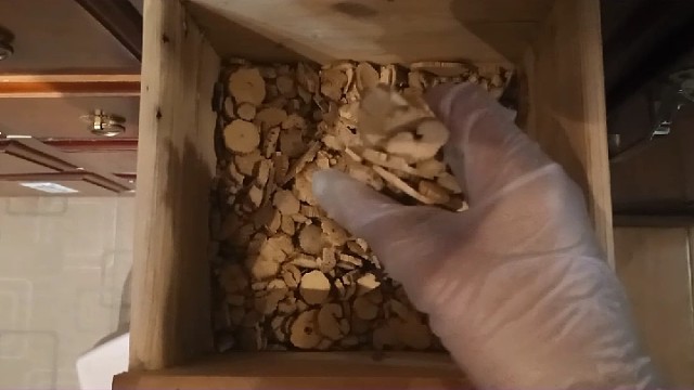 生活中有手抖的情况吗？