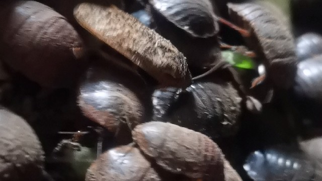 我发布了一个新视频，快来围观吧！