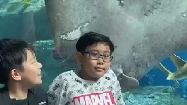 好可爱，能带回家养吗