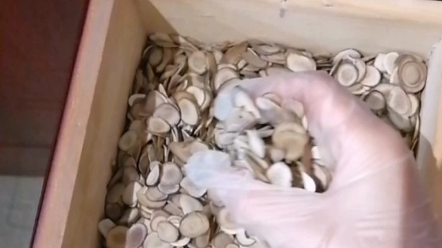 手抖？早发现早治疗早恢复