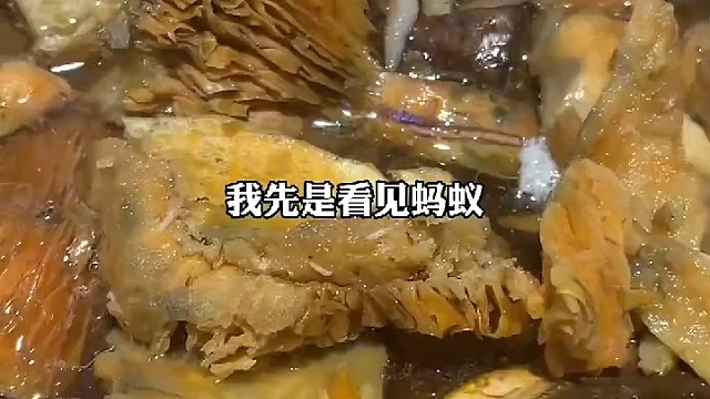野生菌火锅吃出活蚂蚁和蛆虫，店长：虫是没有办法避免，蚂蚁是不可能有的，怀疑恶意敲诈！对此你怎么看？
