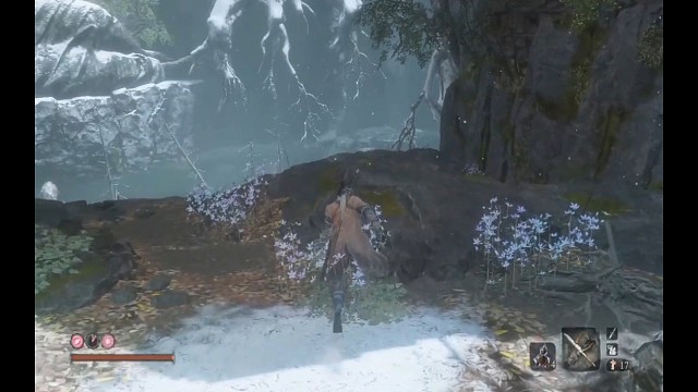 和狮子猿战斗，加个BGM