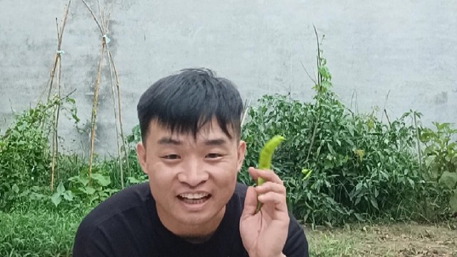 这人真木法鼓捣了