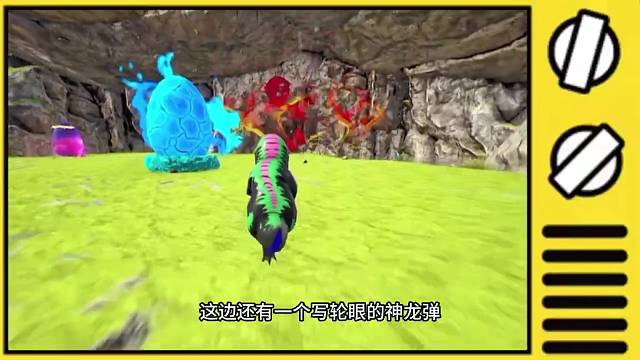 当你拥有一颗神奇的龙蛋时，你最想让它进化成什么宠物？