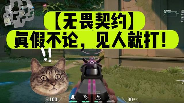 【无畏契约】真假不论，见人就打！
