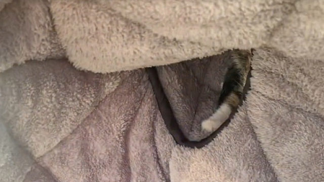 网友：骑了有二里路了，吓死我了碰到我手上怎么毛毛的，要是我有心脏病估计送医院了