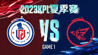 杭州LGD.NBW vs 济南RW侠-1  KPL夏季赛