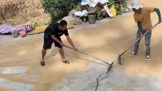 狗：你就说远不远就完了