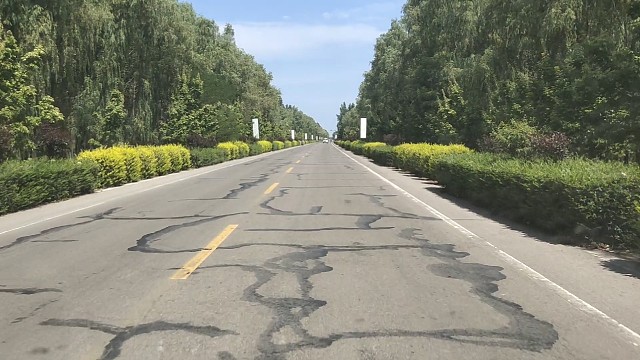 绿油油风景，纷补补马路