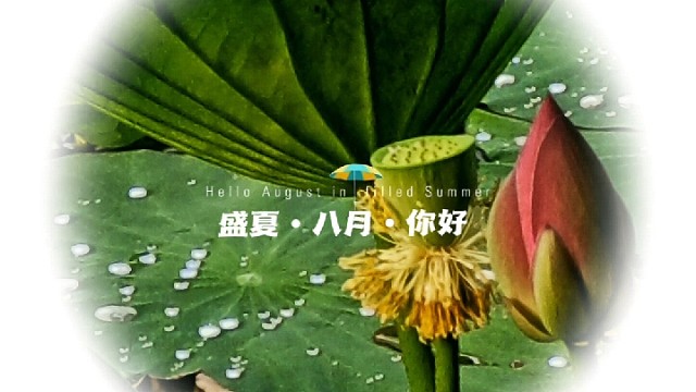 八月……你好！