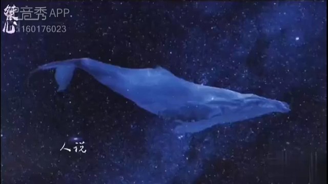 【配音秀】海蓝时见鲸