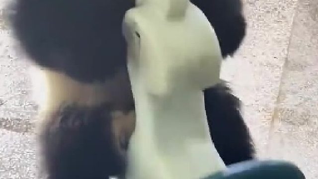 叫你好朋友来看