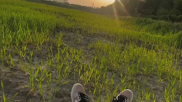 我发布了一个新视频，快来围观吧！