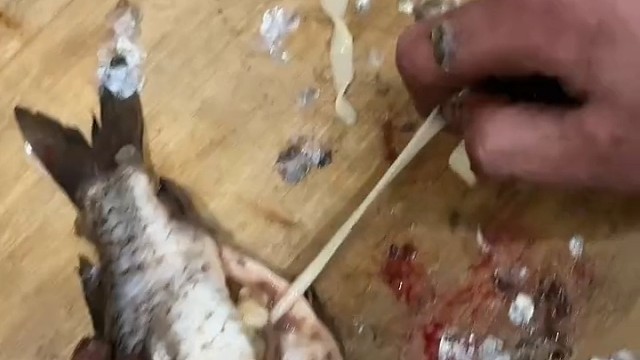 鱼肚子出来的，有知道这是什么嘛。